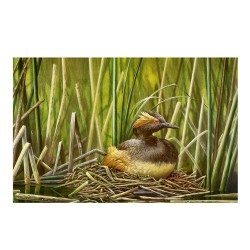 5 cartes de correspondance - Série 10 (Buzin)