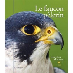 Le faucon pèlerin - Description, mœurs, observation, protection, mythologie
