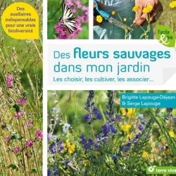 Plantes sauvages comestibles - Observer et reconnaître 50 espèces de nos  régions - Éditions Vagnon