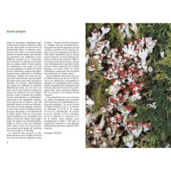 Mousses et lichens. 290 espèces faciles à identifier