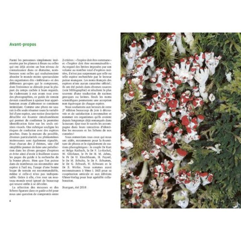 Mousses et lichens - 290 espèces faciles à identifier