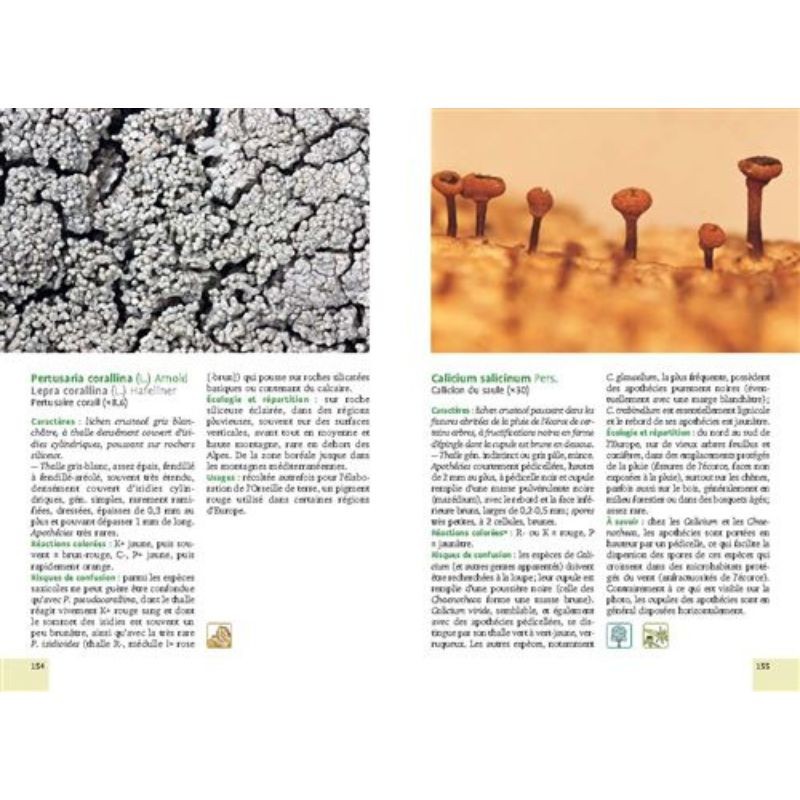 Mousses et lichens - 290 espèces faciles à identifier
