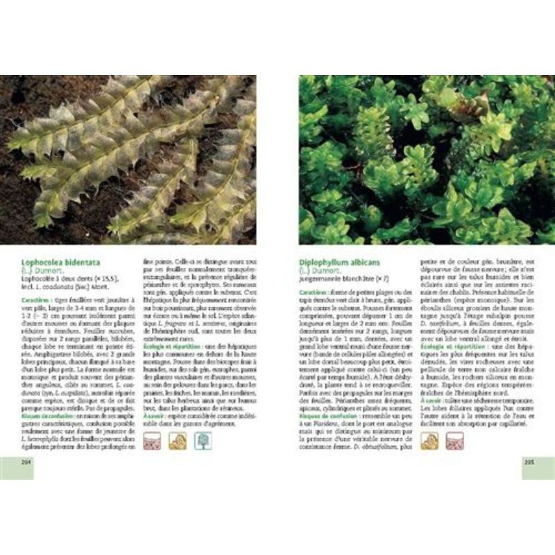 Mousses et lichens - 290 espèces faciles à identifier