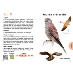 Le Petit guide des oiseaux - 70 espèces à découvrir