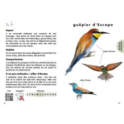 Le Petit guide des oiseaux - 70 espèces à découvrir