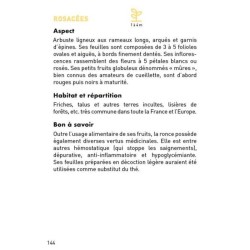Le petit guide des plantes sauvages des rues : 70 espèces à découvrir Le petit guide des plantes sauvages des rues : 70 espèces à découvrir