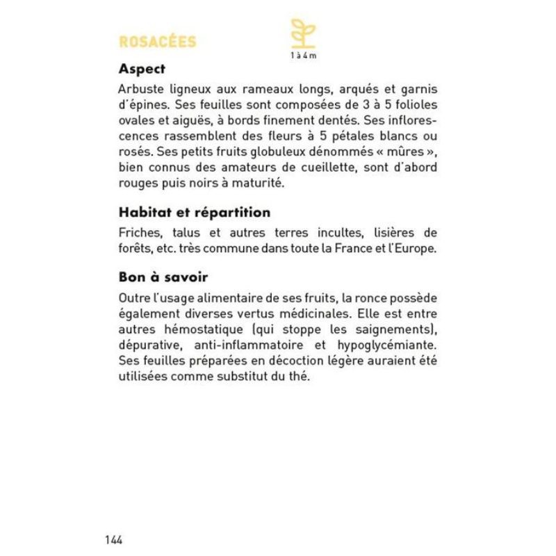 Le petit guide des plantes sauvages des rues - 70 espèces à découvrir
