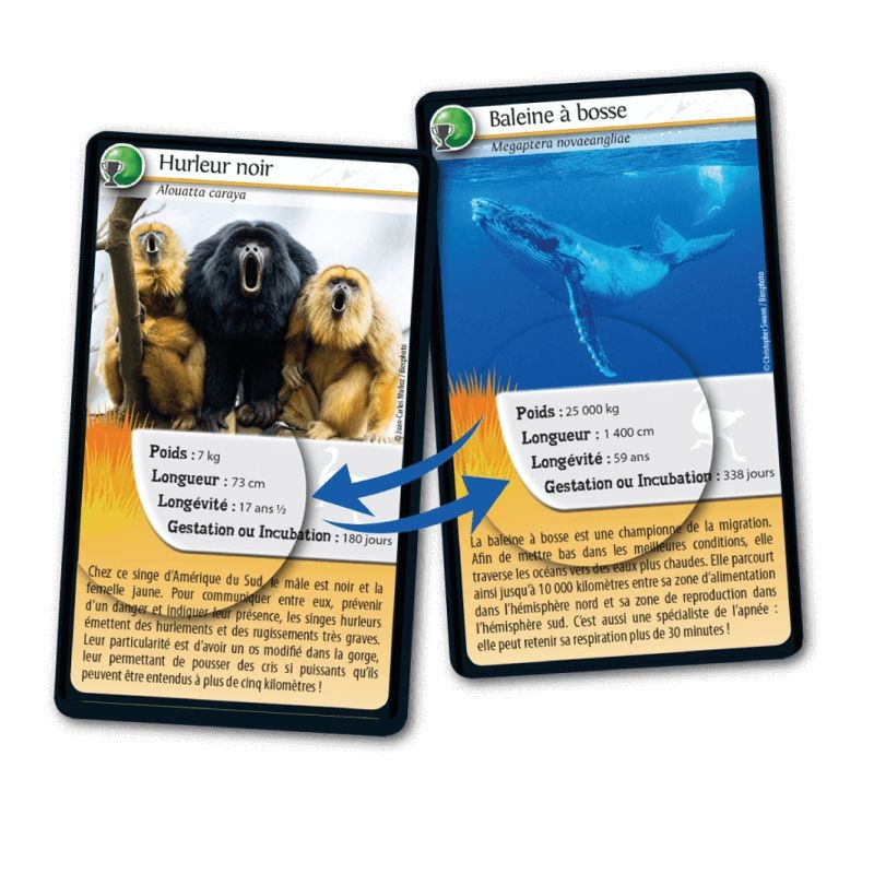 Jeu Défis Nature - Records des animaux - Bioviva Jeu Défis Nature - Records des animaux - Bioviva