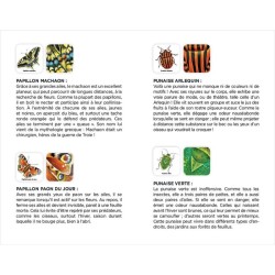 Mémo des insectes Mémo des insectes