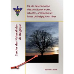 Clé de détermination des principaux arbres, arbustes, arbrisseaux et lianes de Belgique en hiver