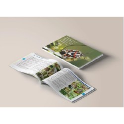 Clé de détermination photographique des « punaises des bois » ou pentatomoïdes de Belgique