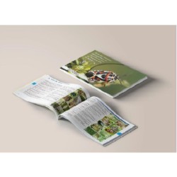 Clé de détermination photographique des criquets, sauterelles, grillons et tétrix de Belgique Clé de détermination photographique des criquets, sauterelles, grillons et tétrix de Belgique