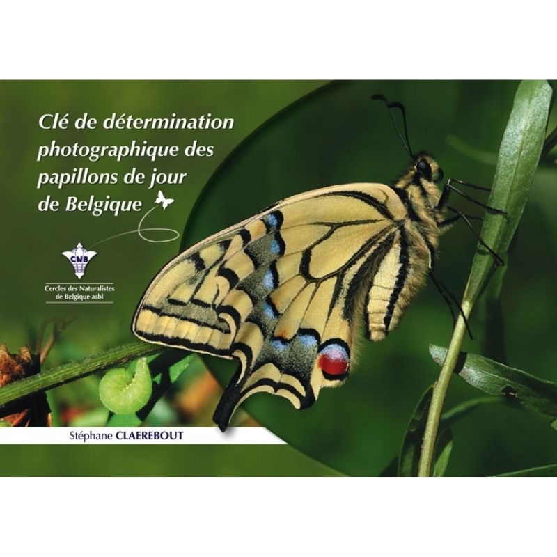 Clé de détermination photographique des papillons de jour de Belgique
