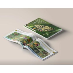 Clé de détermination photographique des papillons de jour de Belgique