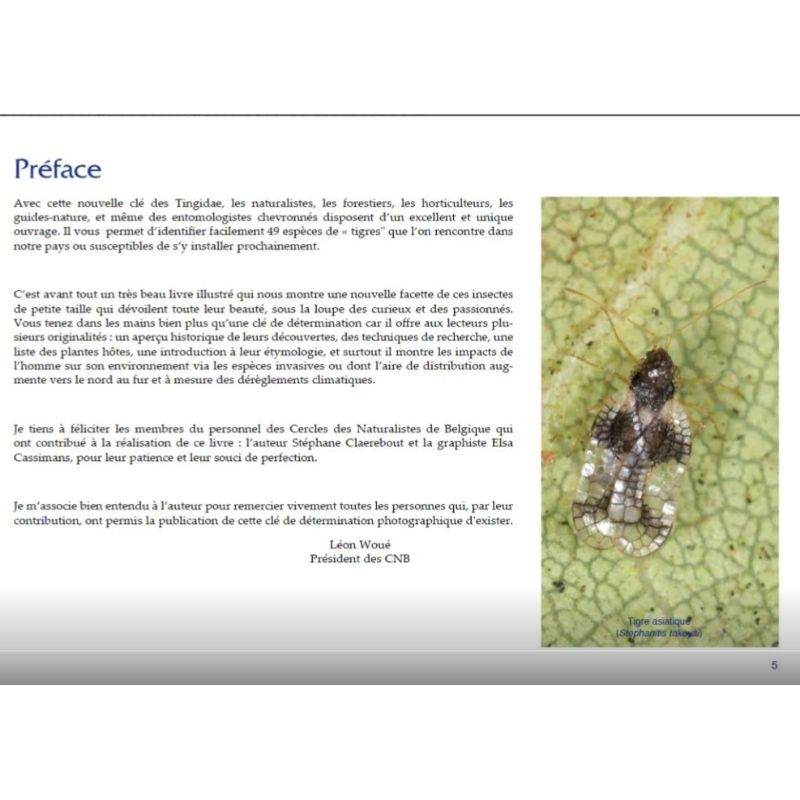 Clé de détermination photographique des "tigres" ou punaises Tingidae de Belgique