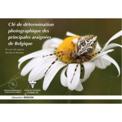 Clé de détermination photographique des principales araignées de Belgique