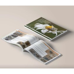 Clé de détermination photographique des principales araignées de Belgique Clé de détermination photographique des principales araignées de Belgique