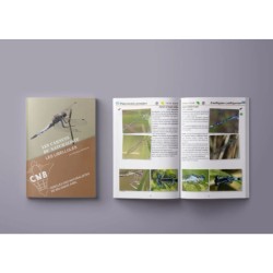 Les libellules - Les carnets du naturaliste