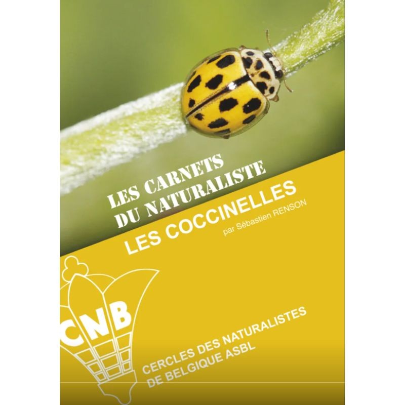 Les coccinelles - Les carnets du naturaliste/2e édition