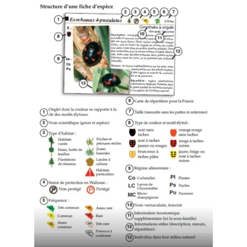Les coccinelles - Les carnets du naturaliste/2e édition