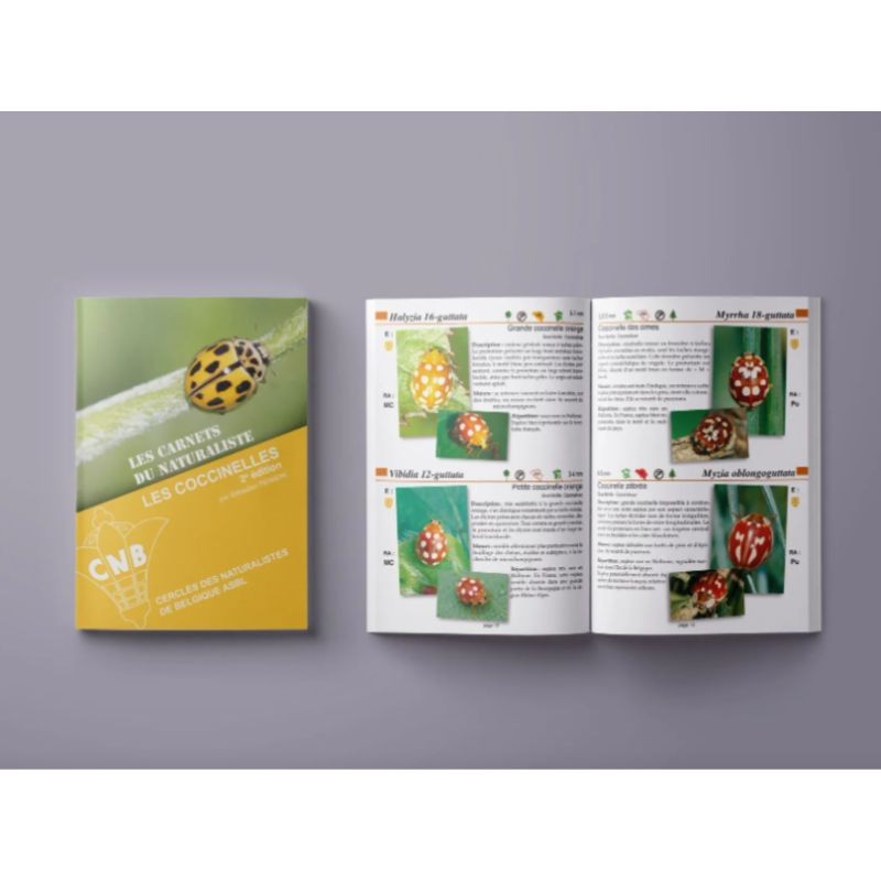 Les coccinelles - Les carnets du naturaliste/2e édition