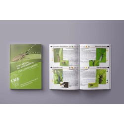 Les longicornes - Les carnets du naturaliste Les longicornes - Les carnets du naturaliste