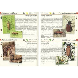 Les longicornes - Les carnets du naturaliste Les longicornes - Les carnets du naturaliste