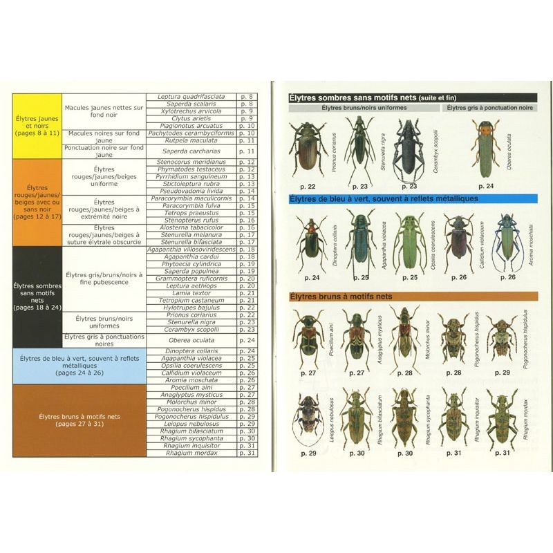 Les longicornes - Les carnets du naturaliste Les longicornes - Les carnets du naturaliste