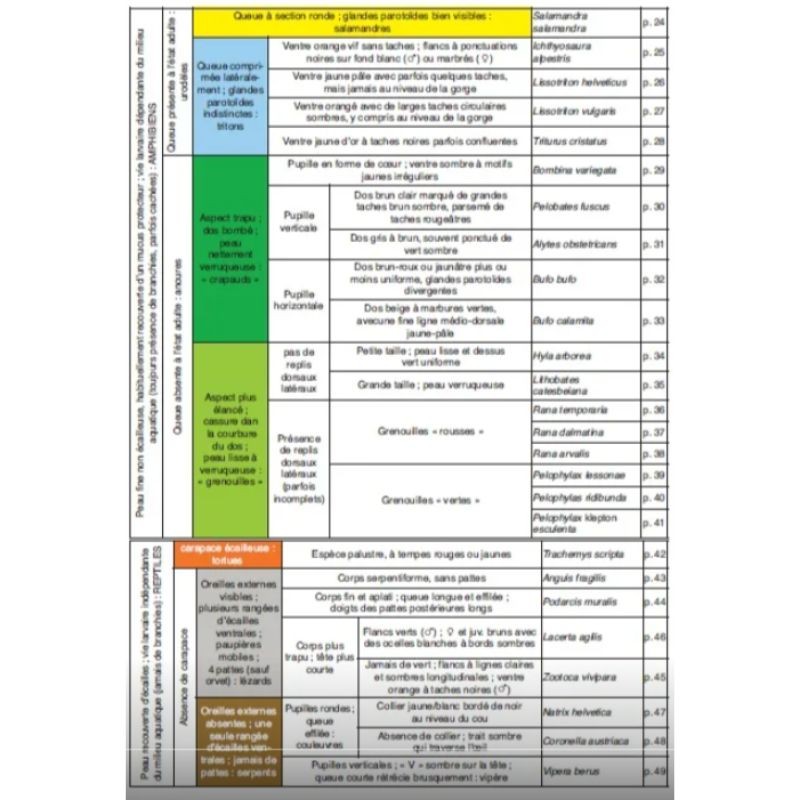 Les batraciens et les reptiles - Les carnets du naturaliste