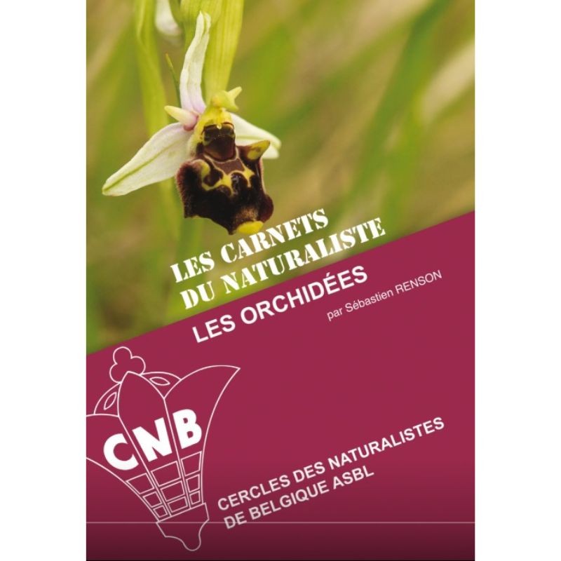 Les orchidées - Les carnets du naturaliste