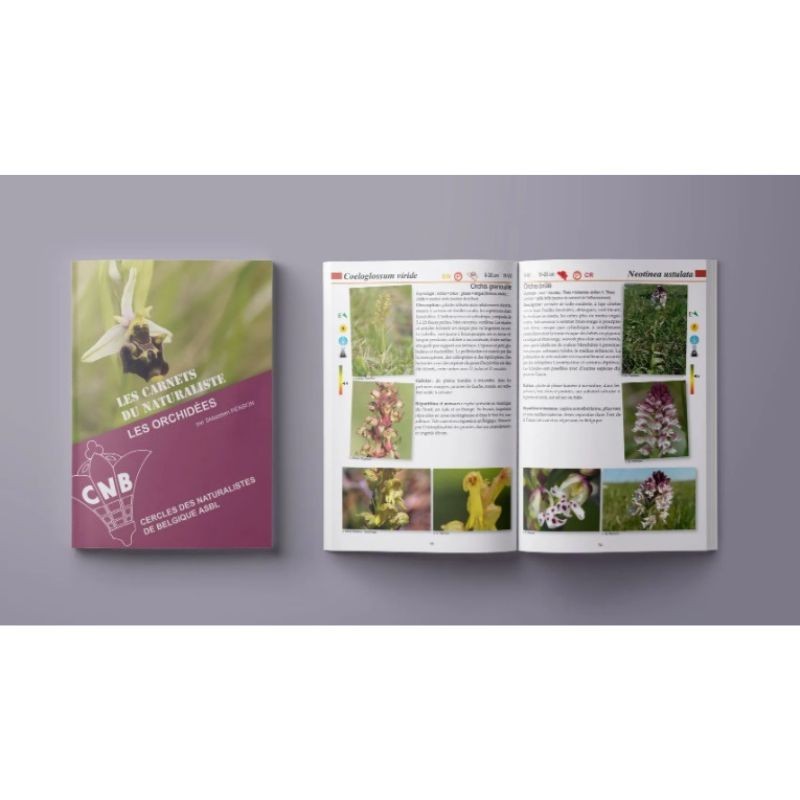 Les orchidées - Les carnets du naturaliste