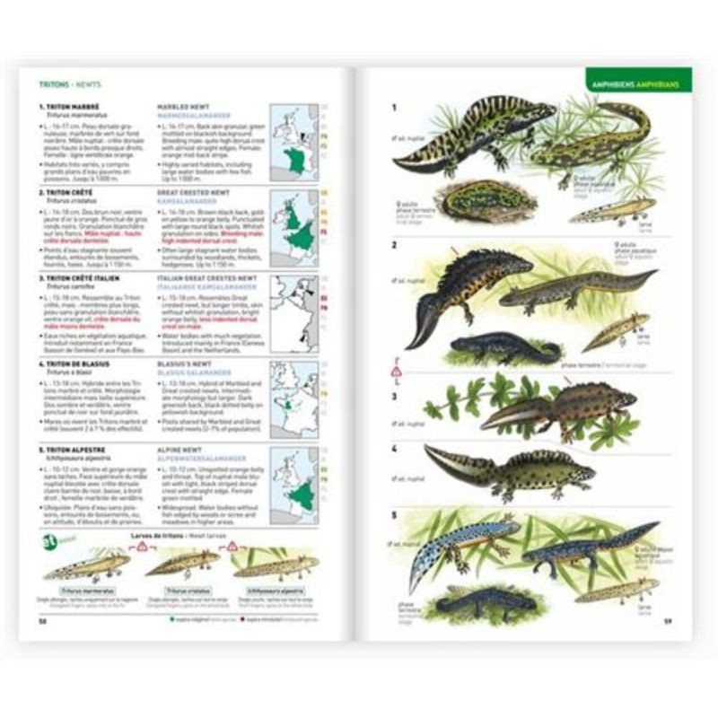 Identifier les animaux - Tous les vertébrés de France, Benelux, Grande ...