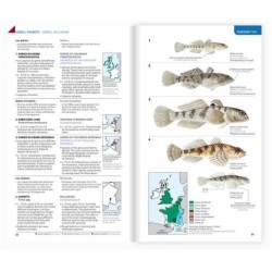 Identifier les animaux - Tous les vertébrés de France, Benelux, Grande-Bretagne et Irlande