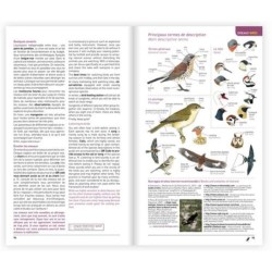 Identifier les animaux - Tous les vertébrés de France, Benelux, Grande-Bretagne et Irlande