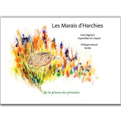 Les Marais d’Harchies