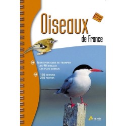 Oiseaux de France