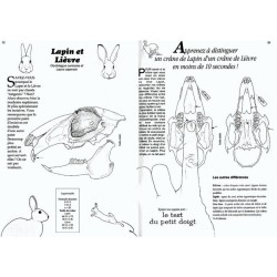 Petit guide des crânes de mammifères - Où les trouver ? Comment les reconnaître à coup sûr ? Petit guide des crânes de mammifères - Où les trouver ? Comment les reconnaître à coup sûr ?