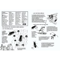 Créer des refuges à insectes