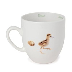 Tasse Chevalier gambette - Elwin van der Kolk