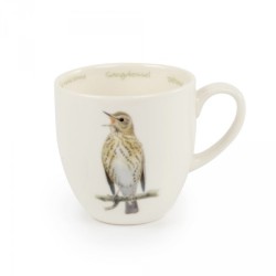 Tasse Grive musicienne - Elwin van der Kolk