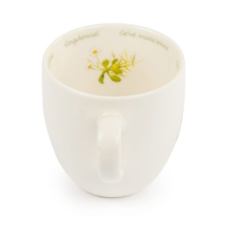 Tasse Grive musicienne - Elwin van der Kolk