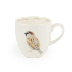Tasse Moineau domestique - Elwin van der Kolk