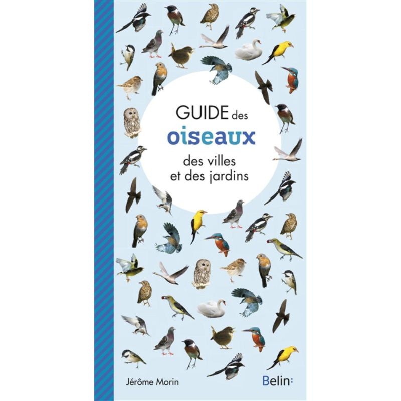Guide des oiseaux des villes et des jardins