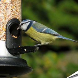 Silo Apollo à 2 ouvertures