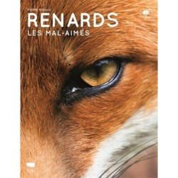 Renards - Les mal-aimés