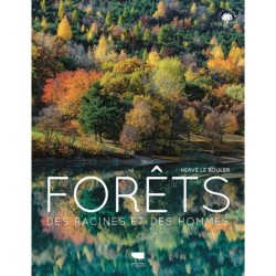 Forêts - Des racines et des hommes