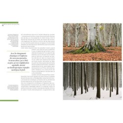 Forêts - Des racines et des hommes