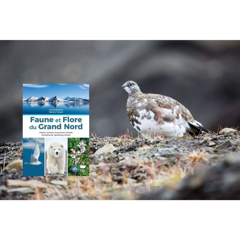 Faune et flore du Grand Nord - Alaska, Canada, Groenland, Islande, Scandinavie, Spitzberg, Russie Faune et flore du Grand Nord - Alaska, Canada, Groenland, Islande, Scandinavie, Spitzberg, Russie
