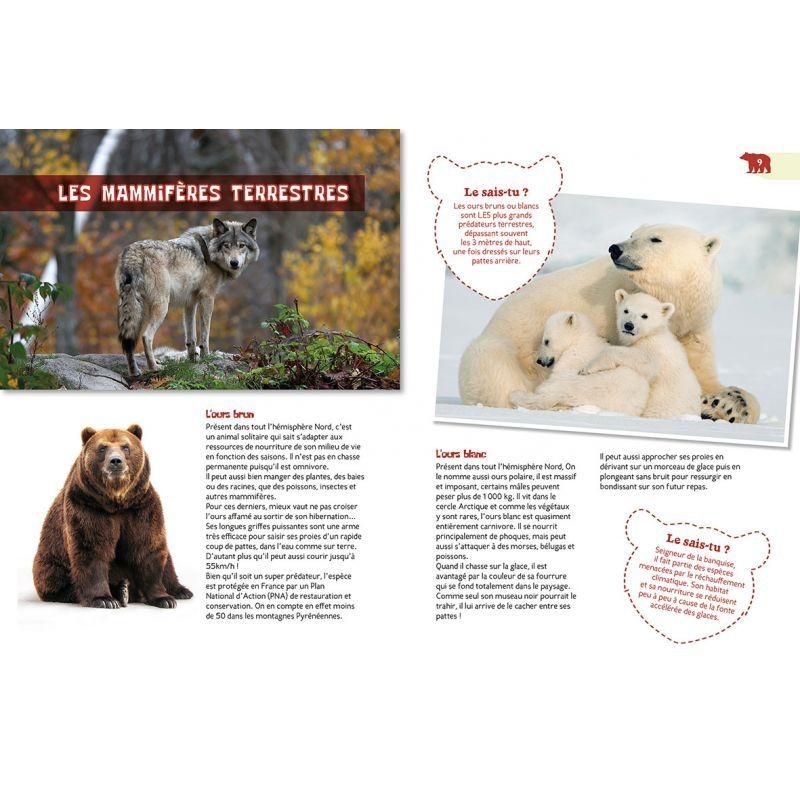 Les animaux prédateurs - P'tit curieux Les animaux prédateurs - P'tit curieux