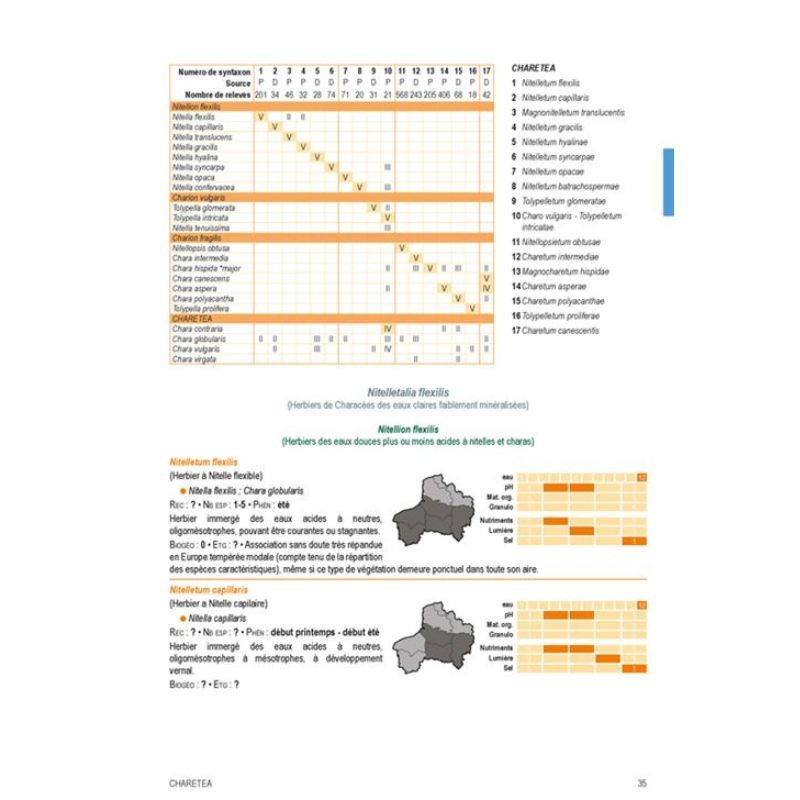 Végétation du nord de la France - Guide de détermination